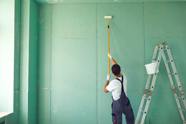 Best Industrial Mold Remediation  in San Luis, AZ