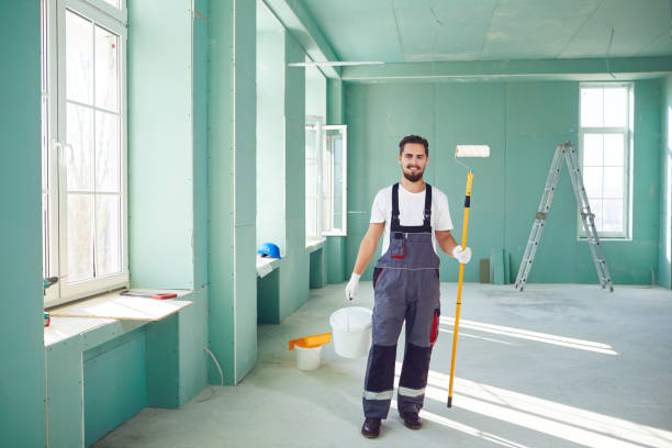 Best Basement Mold Removal  in San Luis, AZ