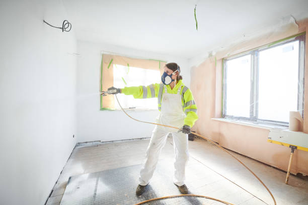 Best Mold Damage Restoration  in San Luis, AZ