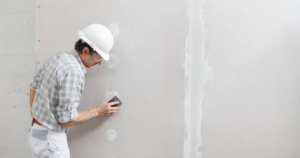 Best Real Estate Mold Inspection  in San Luis, AZ
