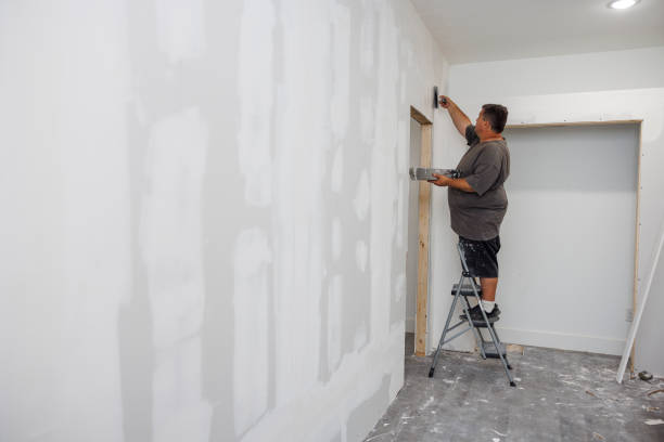 Best Air Quality Testing for Mold Spores  in San Luis, AZ