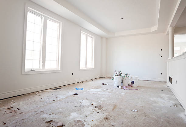Best Attic Mold Removal  in San Luis, AZ